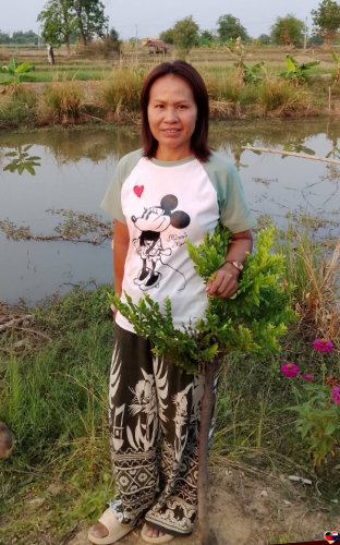 Thaikontaktanzeige von Jeab,
                            48 Jahre